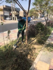 بهسازی فضای سبز شهری در صباشهر