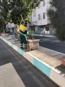 بهسازی فضای سبز شهری در صباشهر