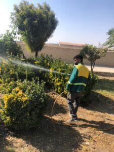 بهسازی فضای سبز شهری در صباشهر