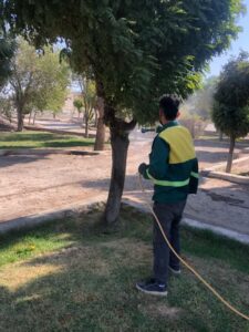 بهسازی فضای سبز شهری در صباشهر